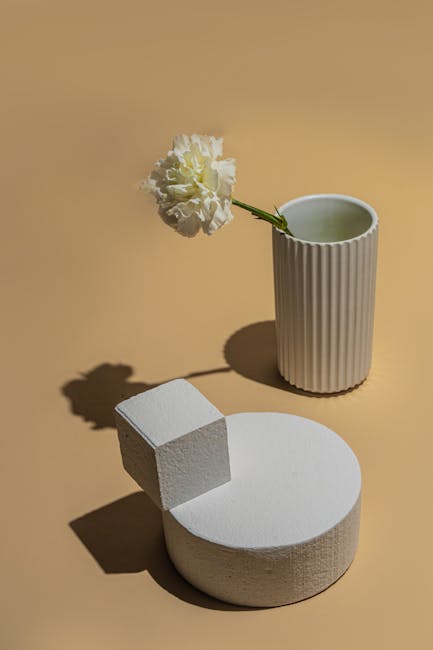 Cerchio e cubo bianchi con garofano in vaso: elementi geometrici e floreali per illustrare le regole del cerchio in geometria.