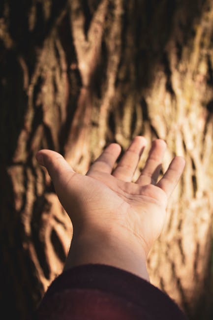 Mano tesa verso l'alto, metafora di connessione e comunicazione nella Giornata Mondiale delle Telecomunicazioni e della Società dell'Informazione.