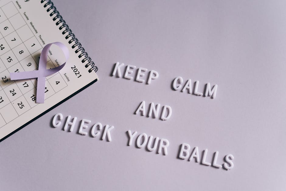 ATA 24 mesi: cosa verificare per non rischiare l’esclusione — Il Punto di Mileto