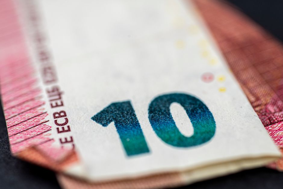Nuovo euro: i dieci disegni tra arte e natura per la moneta italiana