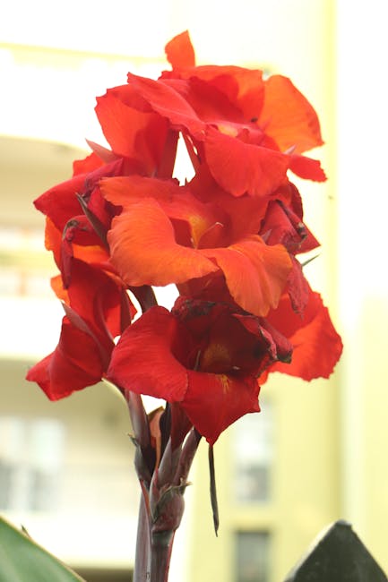 GPS 2026-2028: cosa cambia nei punteggi, nelle riserve e nell’algoritmo per le supplenze. Il punto di Sonia Cannas — approfondimento e guida