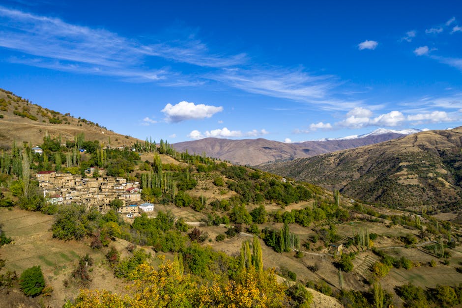 Salvaguardia della scrittura corsiva: l'iniziativa UNESCO per preservare un patrimonio culturale minacciato