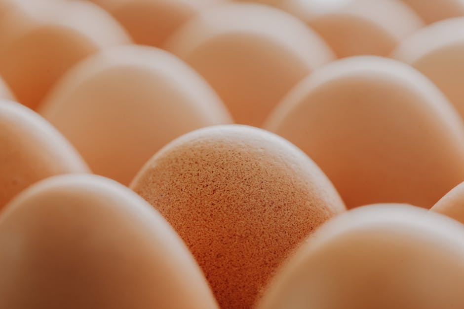 Uova fresche in primo piano, misurazione precisa per ricette e nutrizione, importanza del peso in grammi per la cucina.