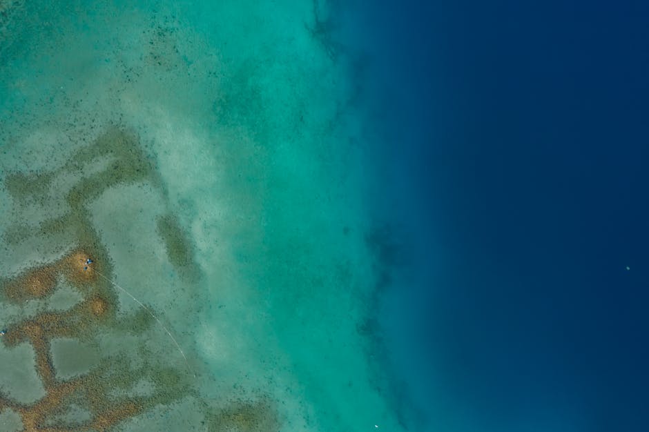 Vista aerea del fondale marino con acque cristalline, ideale per laboratori di droni subacquei e progetti didattici per studenti.