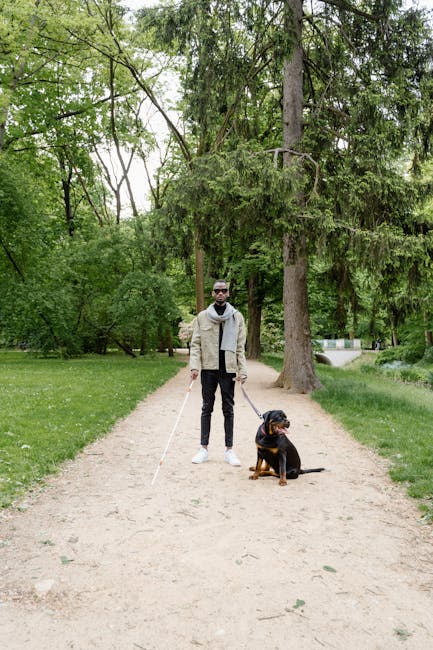 Uomo non vedente con cane guida e bastone bianco in un parco, simbolo di inclusione e comunicazione accessibile.