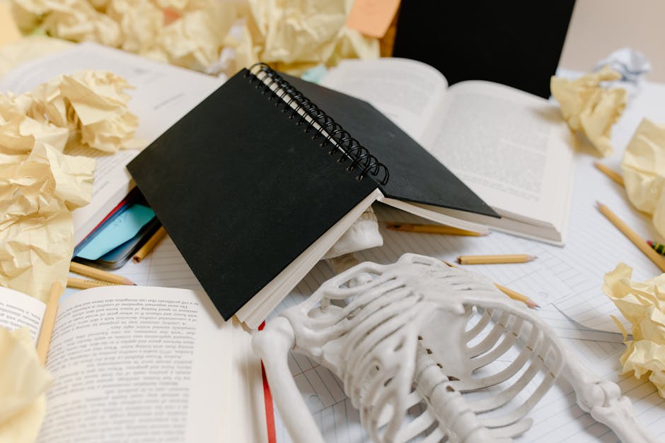Il Nuovo Decreto Sulla Scuola Diventa Legge: Le Novità su Esame di Stato, Viaggi Educativi, Carta del Docente e Contratti