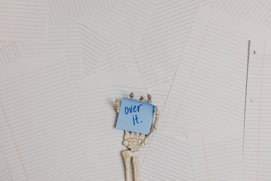 Contratto scuola 2022-2024: dichiarazioni di Castellana della Gilda