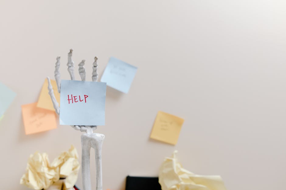 Percorsi di sostegno INDIRE per docenti specializzati all'estero: scadenza del 16 marzo per rinunciare alla richiesta di riconoscimento. Le due modalità