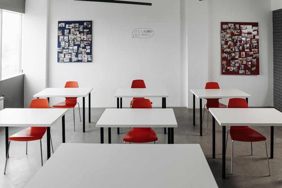 Ripensare l’educazione: la scuola come spazio di formazione emotiva e morale