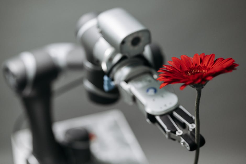Braccio robotico che tiene delicatamente un fiore rosso, simbolo dell'evoluzione dei sistemi di classificazione e dell'innovazione tecnologica