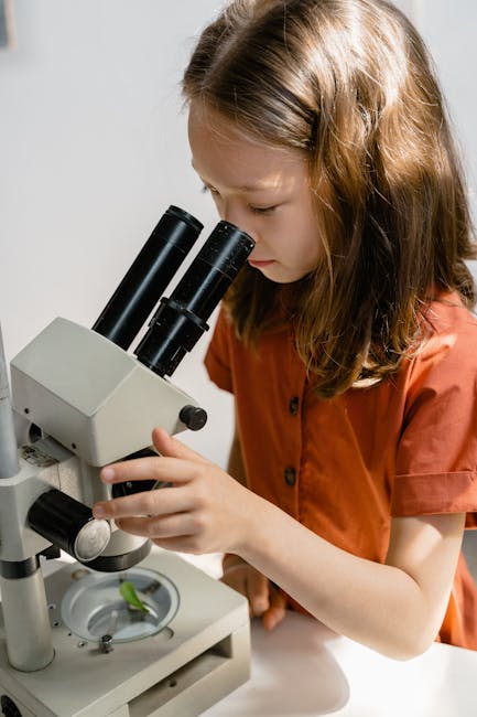 Marcello Bramati: “A un giovane docente direi: sii un samurai, concentrato, curioso e ruba il mestiere” — approfondimento e guida