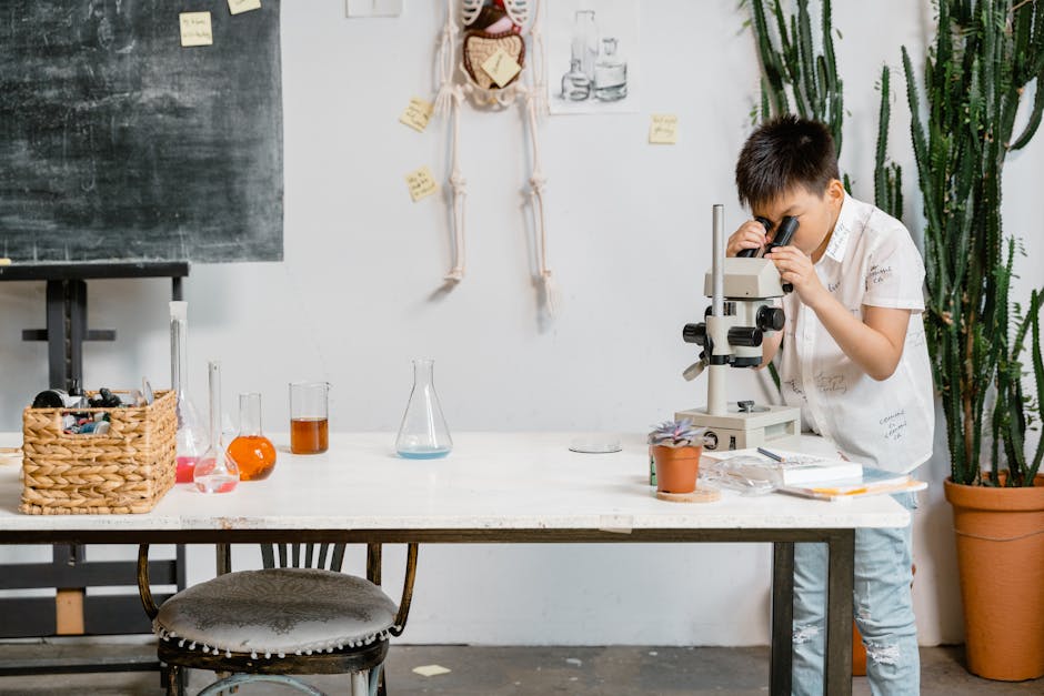 Alunno che utilizza un microscopio in laboratorio scolastico, apprendimento scientifico e valutazione delle competenze pratiche