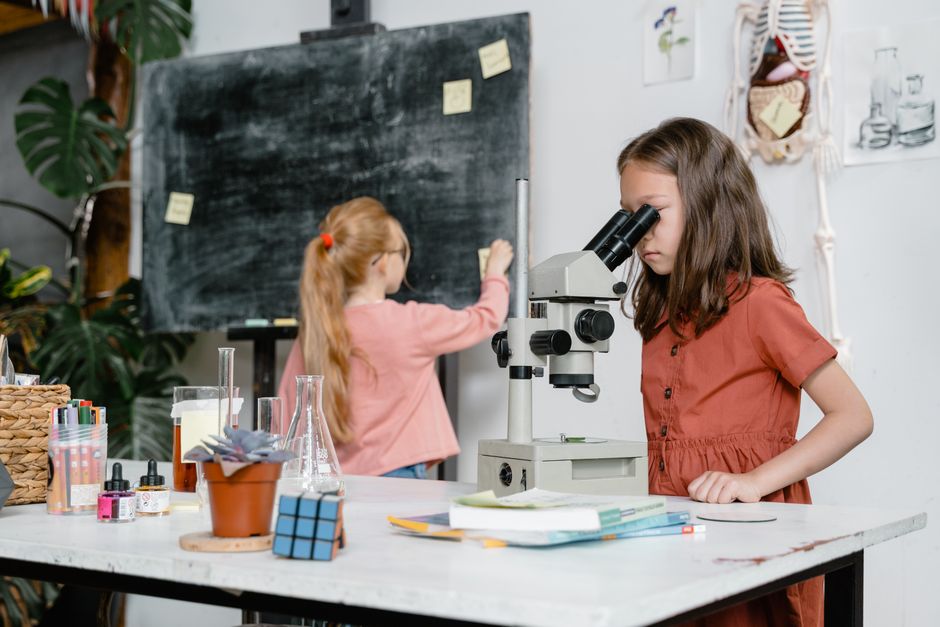 Sviluppare sapere e metacognizione: IA e uso consapevole a scuola