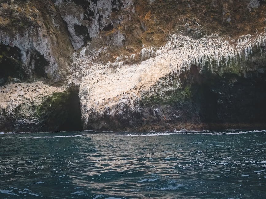Grotta marina con uccelli marini appollaiati, esempio di biodiversità per schede didattiche sull'ambiente marino