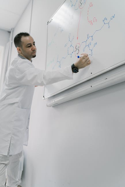 Docente di Scienze Politiche e Sociali spiega teorie complesse alla lavagna durante una lezione universitaria