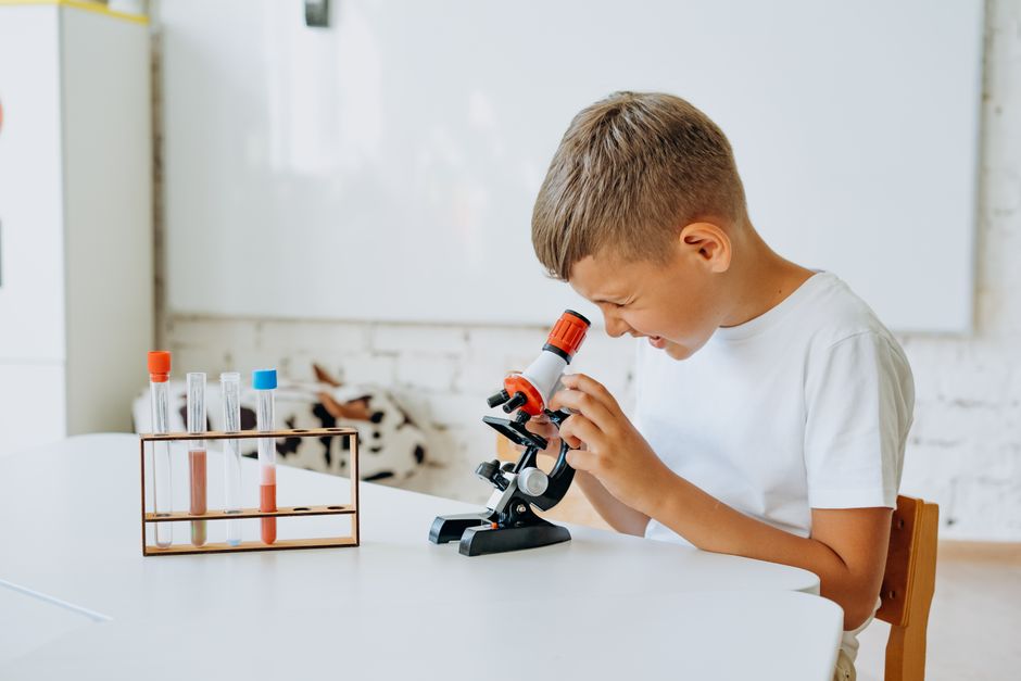 Scienze della formazione primaria: focus sulle materie chiave per il test dell'11 settembre 2026