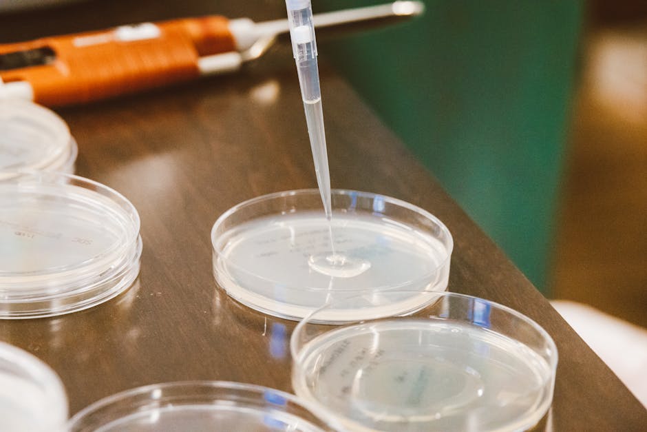 Piastre di Petri con campione biologico e pipetta per analisi di laboratorio, focus sui criteri diagnostici e applicazioni pratiche