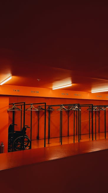 Organizzazione statale: guardaroba accessibile con sedia a rotelle, simbolo di inclusione e servizi pubblici per tutti i cittadini.