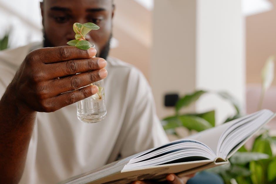 Uomo afroamericano osserva germoglio in acqua leggendo un libro, metafora della conoscenza e crescita personale