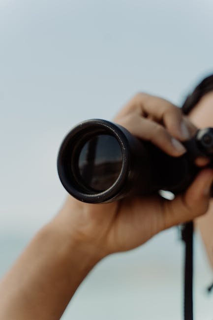 Binocolo puntato: metafora visiva per trovare il Massimo Comune Divisore e semplificare i calcoli matematici complessi