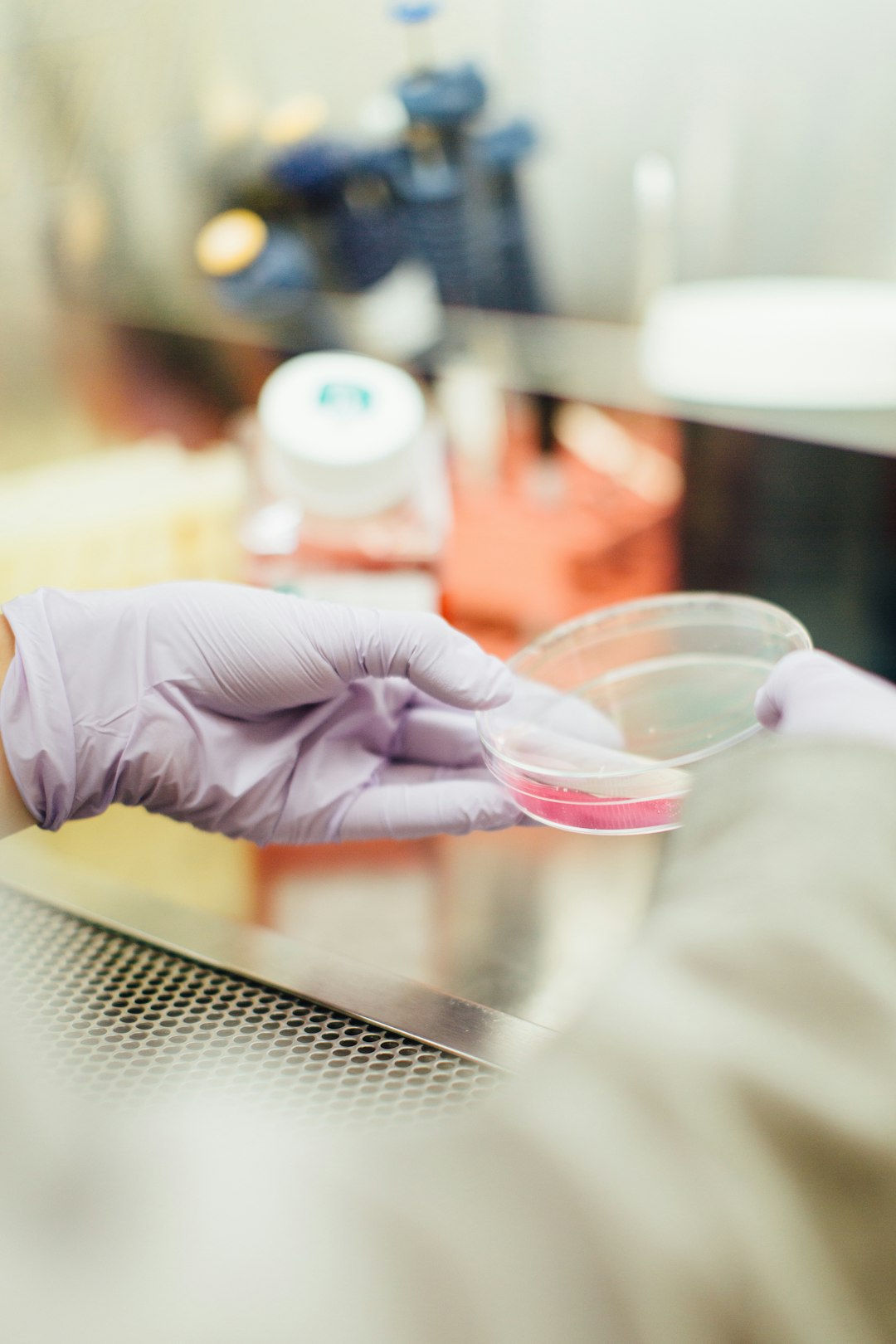Ripetizioni di Fisica: Scopri Come Migliorare le Tue Competenze Scientifiche