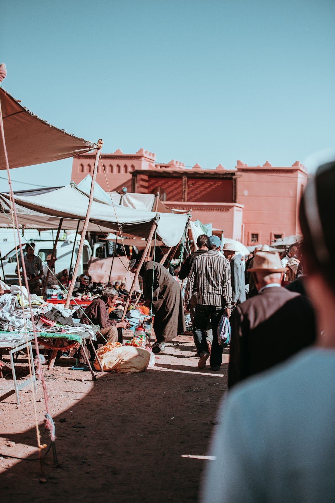 Professionalità Unica: Un Vantaggio Strategico Nel Mercato Del Lavoro