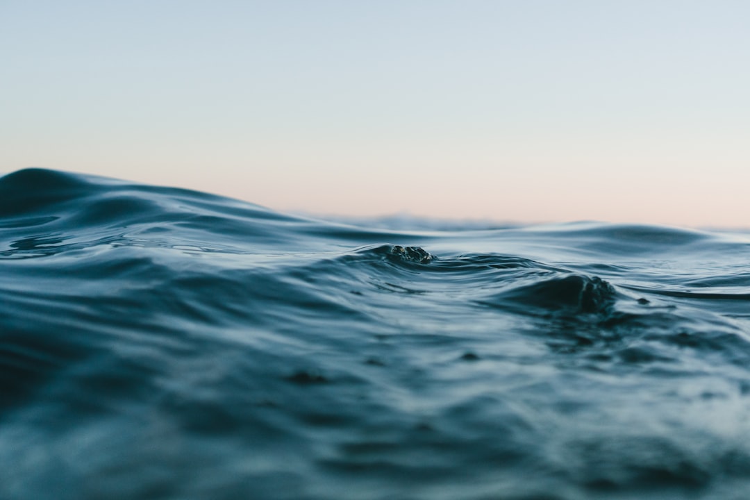 Scopri le Schede Didattiche sulla Sostenibilità degli Oceani: Un Viaggio Educativo