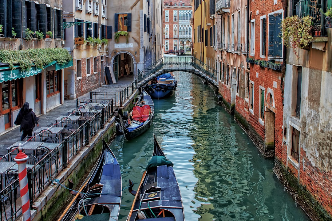 Esplorando Ca' Foscari: L'Università di Venezia che Forma il Futuro