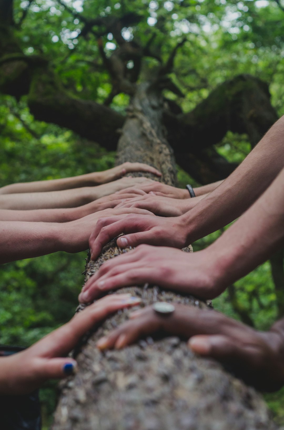 Scopri l'Importanza del Teamwork: Fondamentale per il Successo!