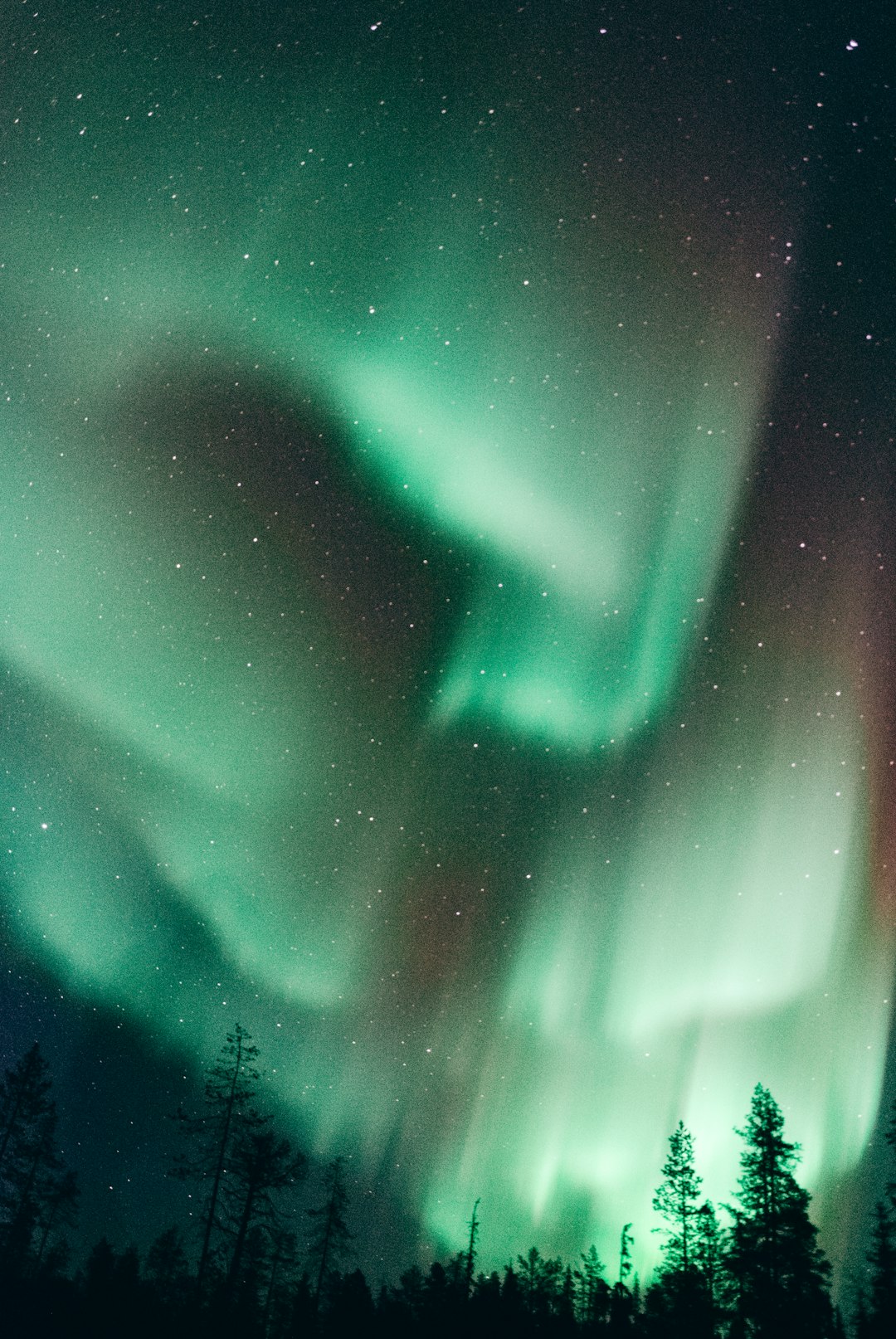 Catturare l'Essenza dell'Aurora Boreale: Consigli Pratici per un'Osservazione Sublime