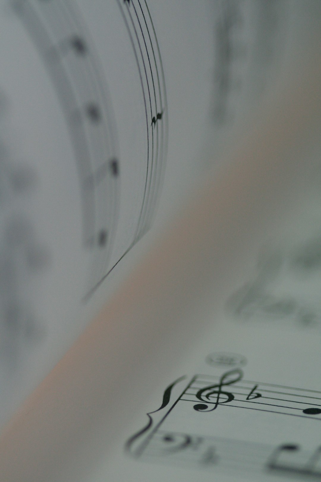 Foggia, esonero per convegno di musica a Salerno
