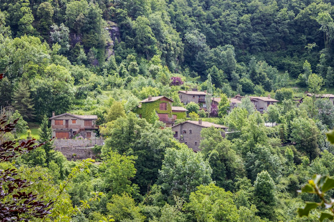 Case immerse nel verde: il TAR Veneto conferma la legittimità della bocciatura alla Maturità anche senza PDP se la scuola dimostra supporto