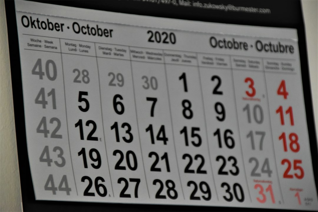 Scioperi scuola ottobre 2024: calendario delle date e interruzioni delle lezioni