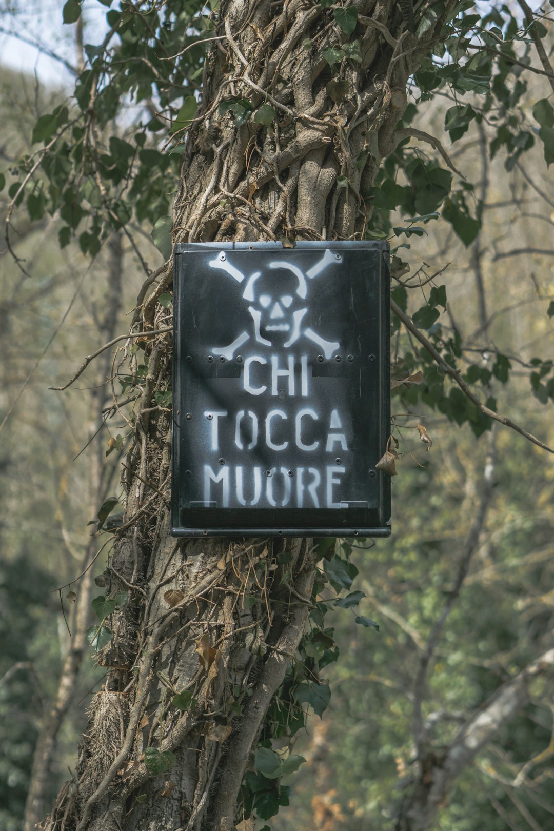 De Luca su famiglia nel bosco: la frase dei “tre anni di carcere” e la bussola operativa per la scuola