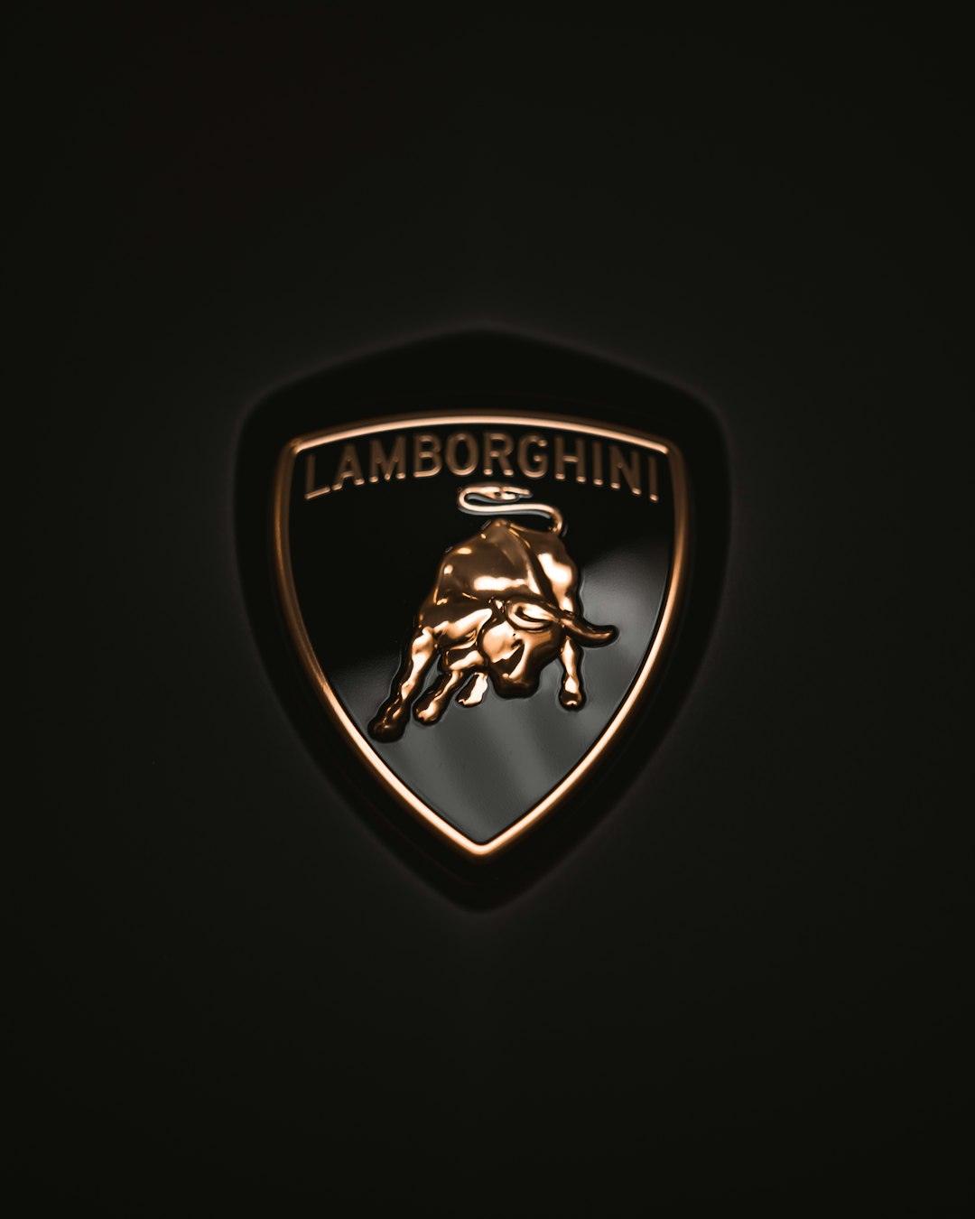 Scopri il Logo di Ca' Foscari: Significato e Importanza