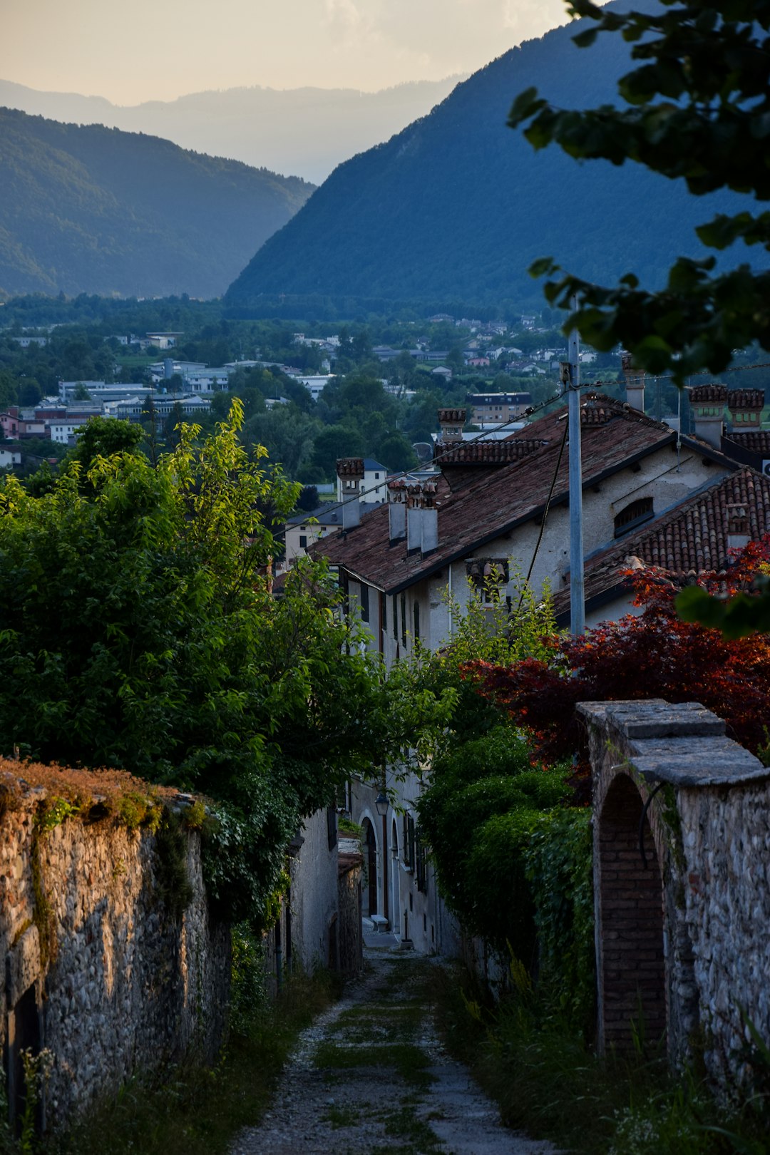 Borse di studio 2026 Regione Veneto: domanda entro il 20 aprile per le scuole superiori