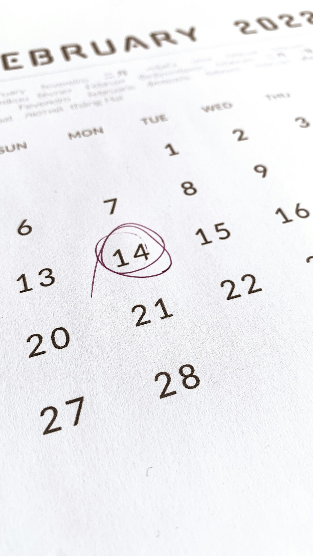 Calendario febbraio 2023 con data 14 cerchiata, utile per calcolare frazioni di servizio inferiori a 16 giorni nelle graduatorie ATA 24 mesi.