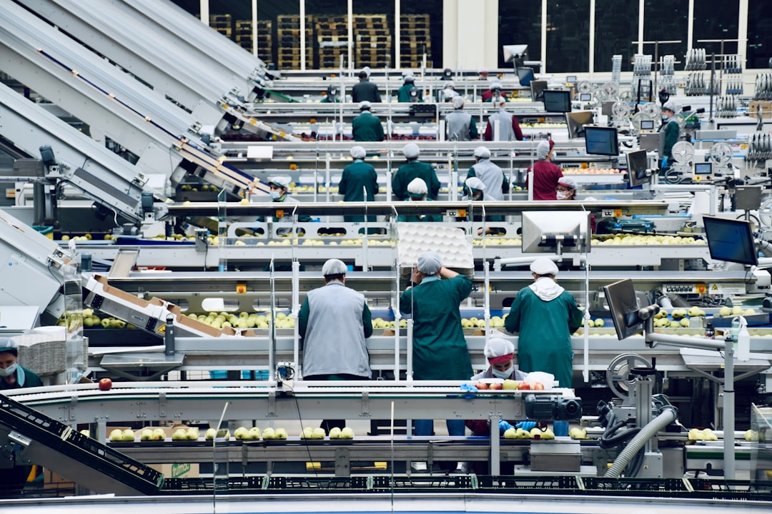Filiera tecnologico-professionale 2027/28: le nuove regole per l'attivazione dei percorsi quadriennali