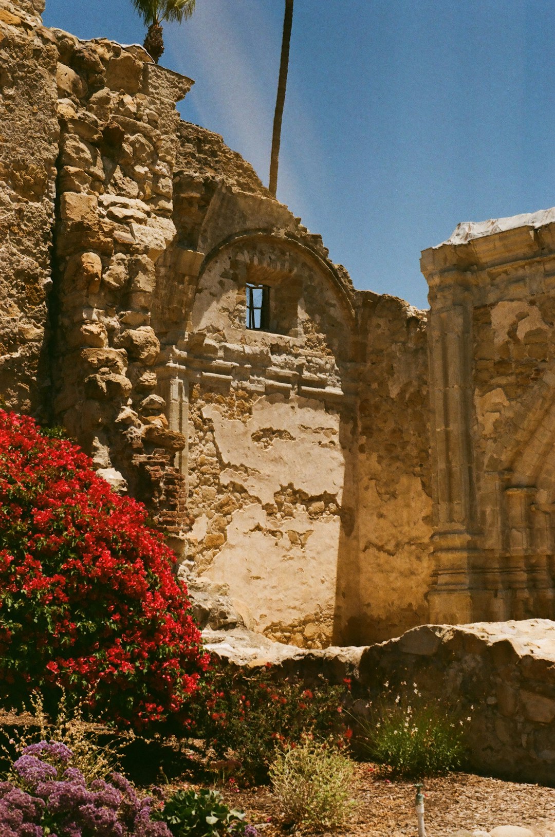 Scopri la Meraviglia degli Affreschi della Cappella degli Scrovegni