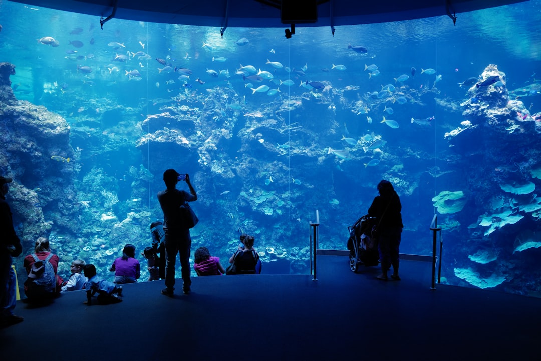 Acquario con visitatori: metafora per data center sottomarini, ambiente controllato e innovazione tecnologica per il raffreddamento dei server.