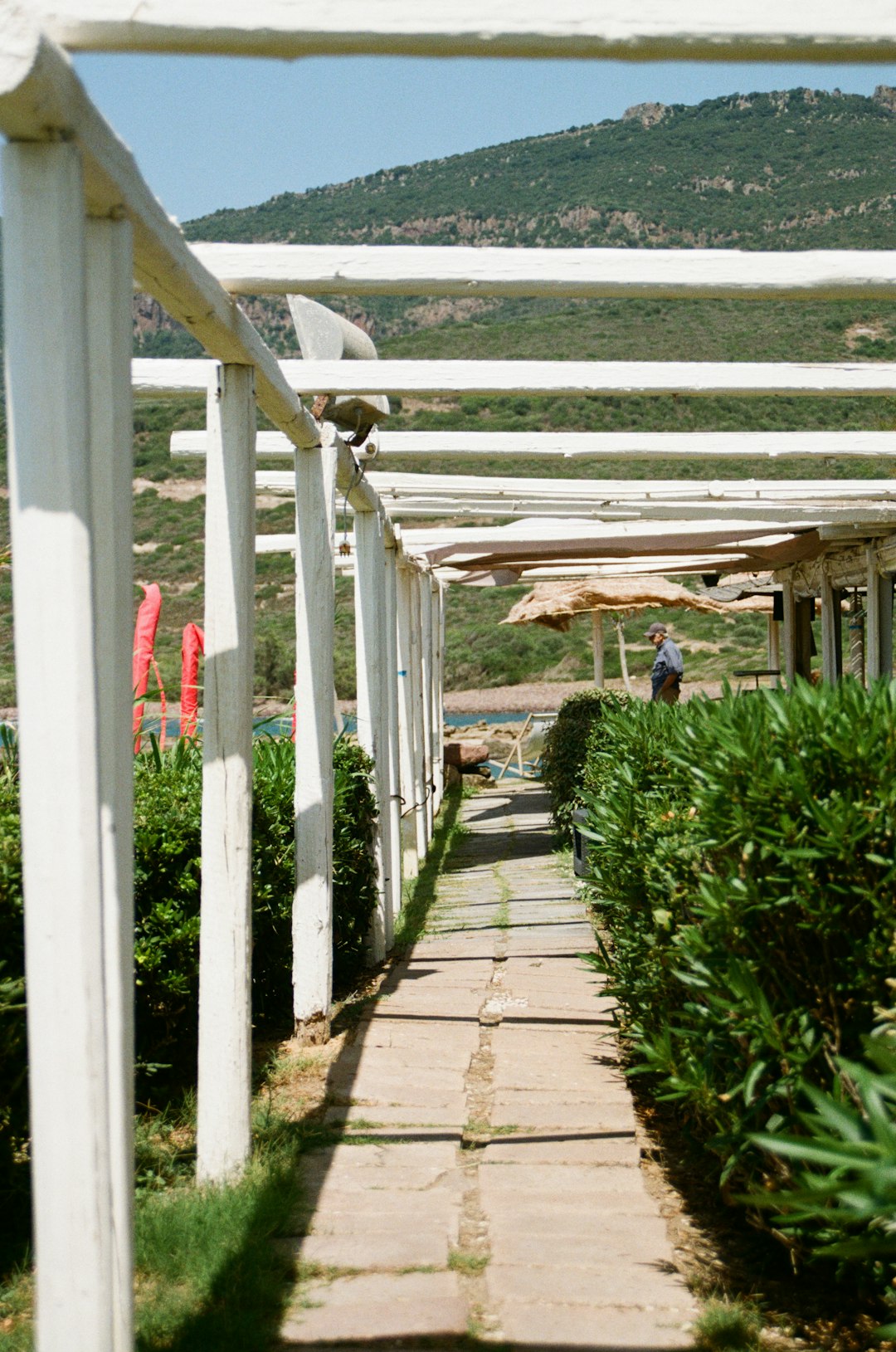 Sardegna semplifica l'accesso ai nidi gratis con la nuova domanda unica