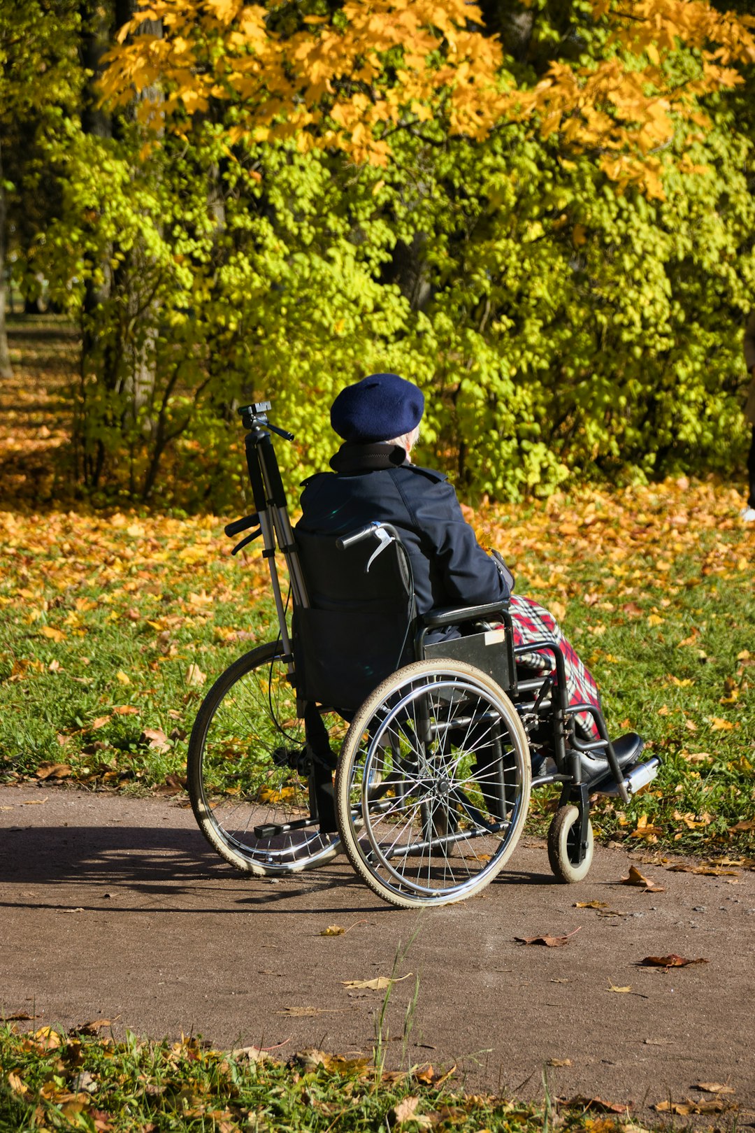Persona anziana in sedia a rotelle nel parco autunnale, focus su vita e opportunità per persone con disabilità, risorse e inclusione sociale.