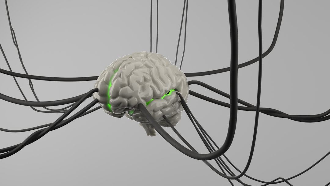 Dalla "testa-container" alla neuroplasticità: il ritorno delle attività manuali come antidoto all'overdose digitale nelle scuole