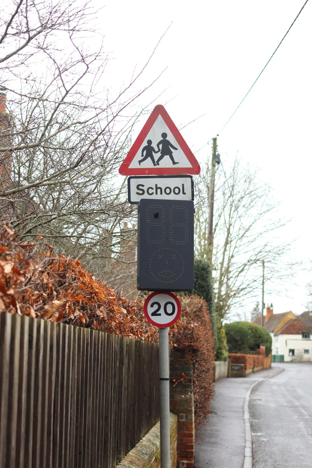 Prugnoli o bacche velenose? Sei bambini li assaggiano durante la ricreazione: scatta l’allarme a scuola, ma nessun alunno in pericolo — approfondimento e guida