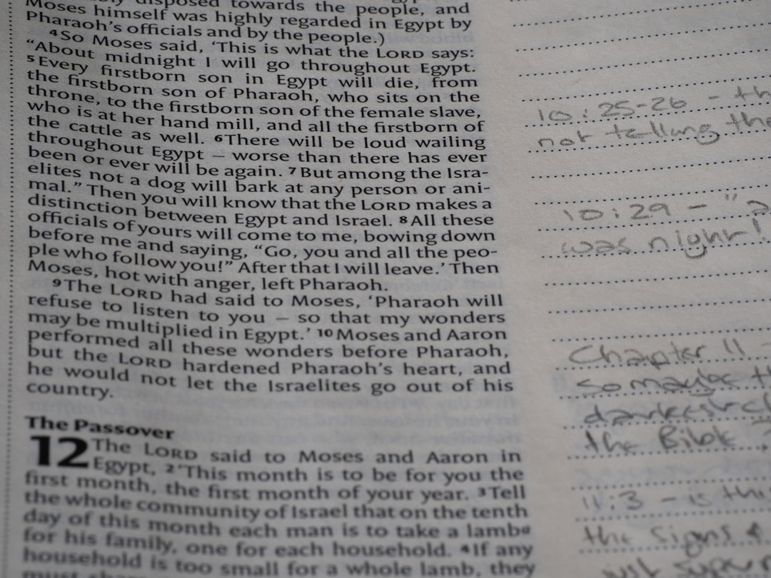 Aggiorna le Graduatorie ATA a 24 mesi: chi è già inserito può farlo senza CIAD