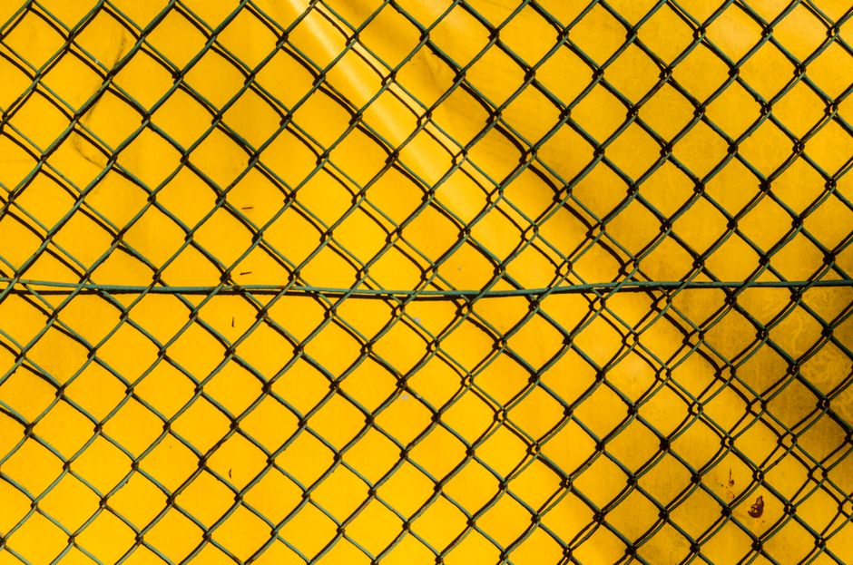 Docenti e social network: i confini tra libertà di espressione e doveri di decoro della Pubblica Amministrazione
